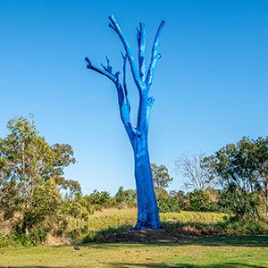 Blue tree lions park