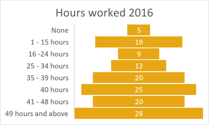 Mount Larcom hours worked 2016