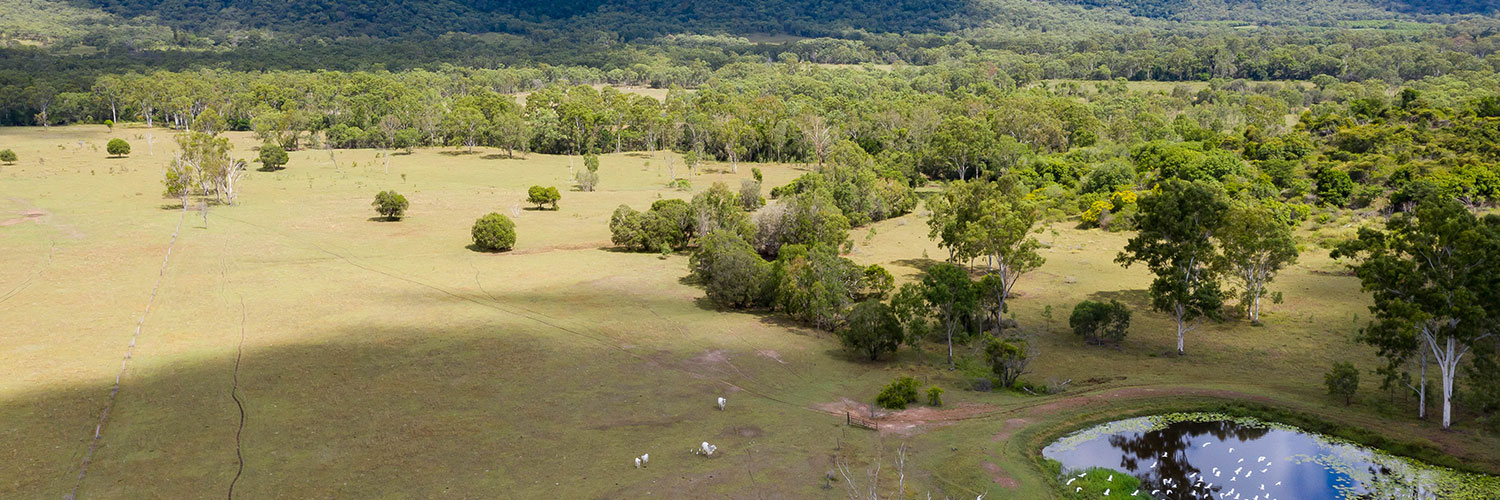 GRC Stock image of cattle property