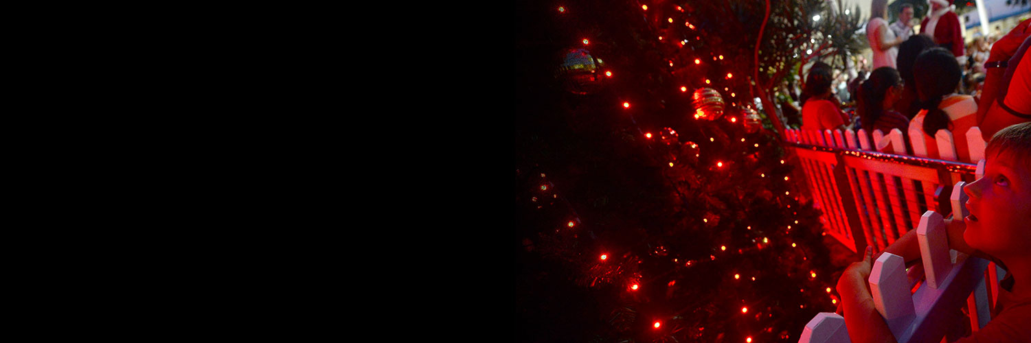 Christmas street party grc web banner no logo