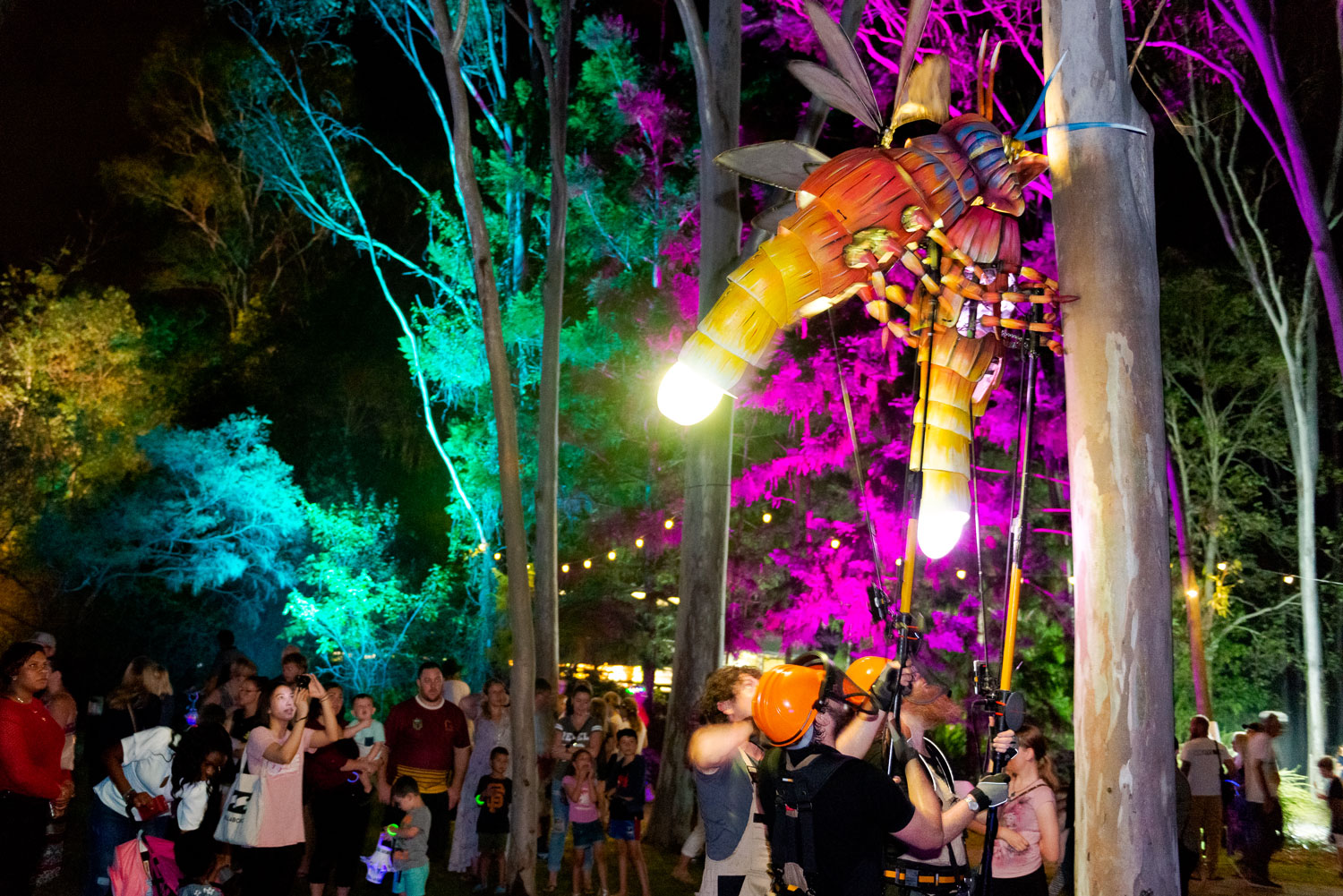 LUMINOUS 2018 event