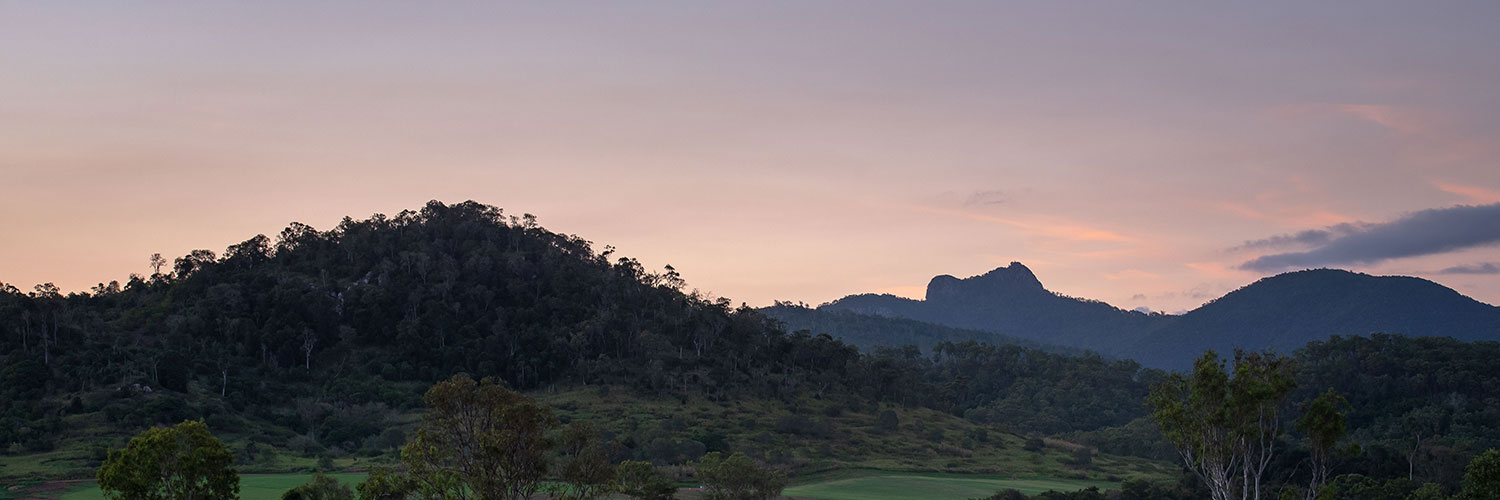 Mount Larcom at sunset