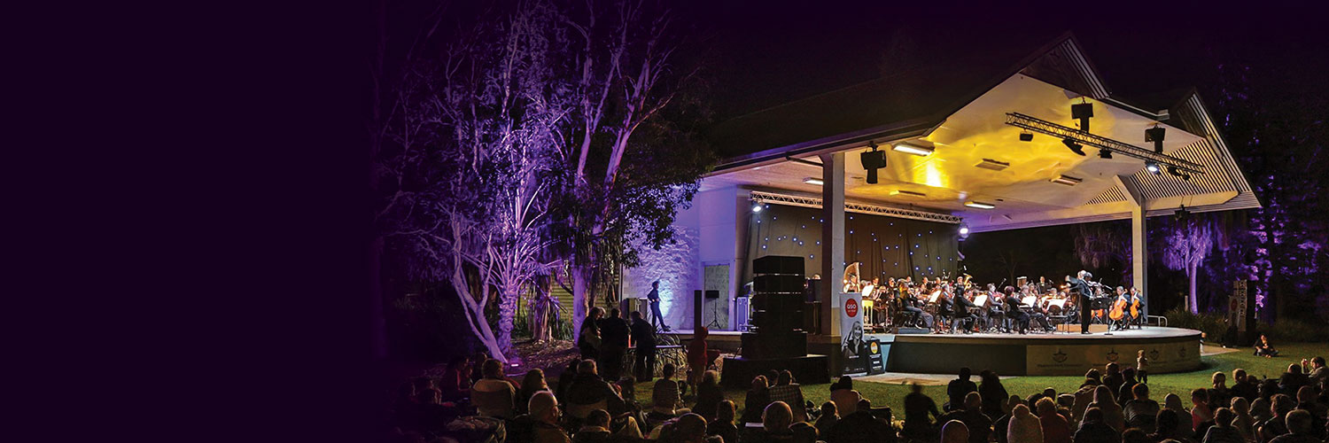 QSO 2019 Symphony Under the Stars
