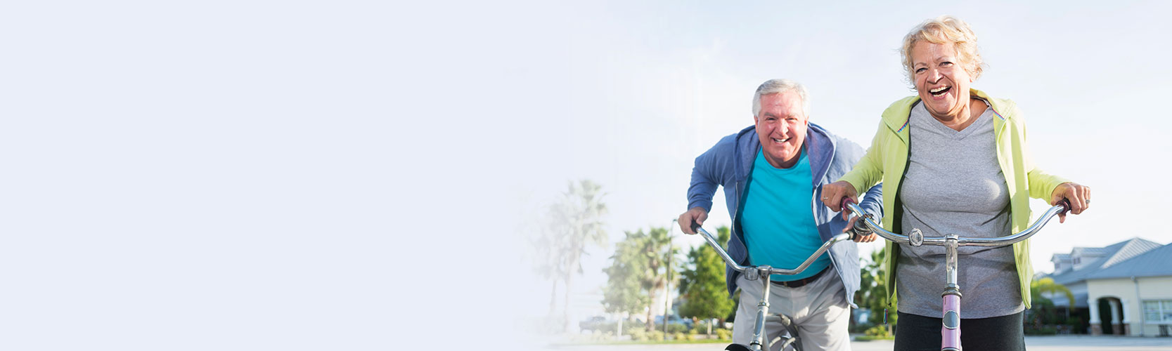 Seniors week 2019 web banner