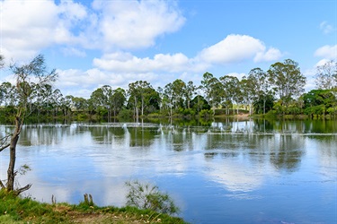 GRC_Baffle_Scenic_4841_3.jpg