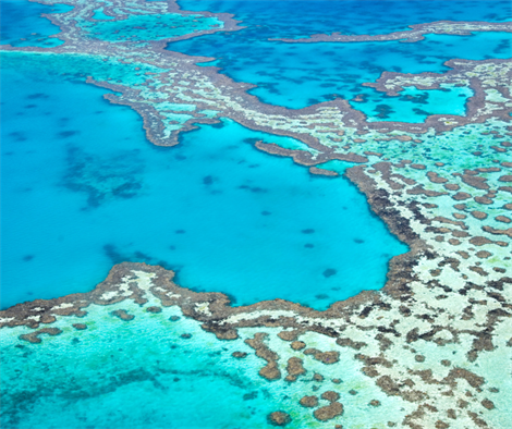 Citizen Science - Eye on the Reef 