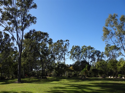 DSCN4186.jpg