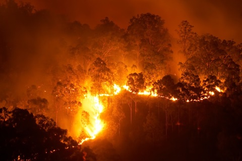 GetReady-bushfire.jpg