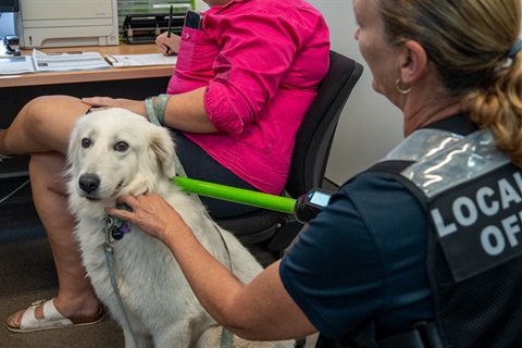 Discount-Microchipping-Day-2025-WEB-45.jpg