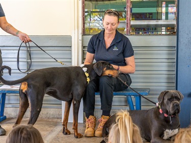 Pet_Pals_Boyne_School_WEB_29.jpg