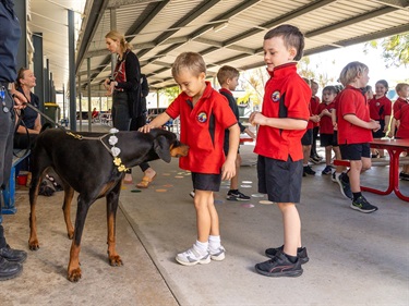 Pet_Pals_Boyne_School_WEB_81.jpg