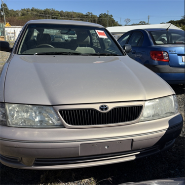 Item 341 seized 29 May 2026