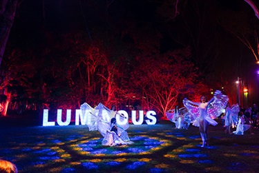 Luminous_2025_01.jpg