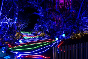 Luminous_2025_05.jpg