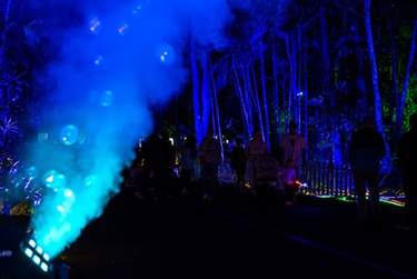 Luminous_2025_06.jpg