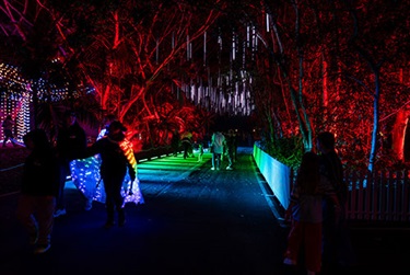 Luminous_2025_09.jpg