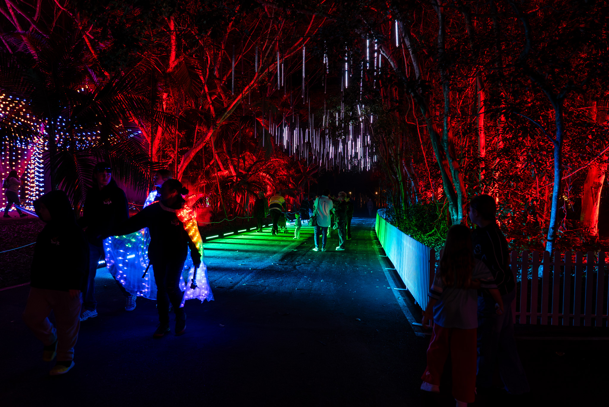 LUMINOUS_WEB-49.jpg