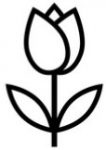 flower-e1642141916875.jpg
