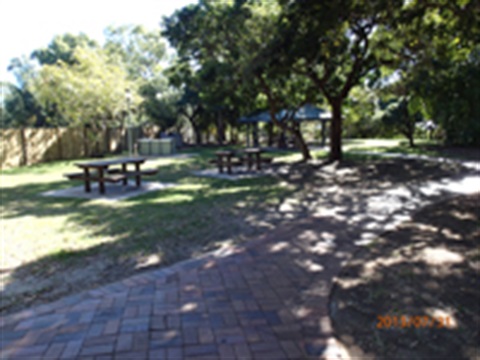 Park___Tom_Jeffrey_Park.jpg