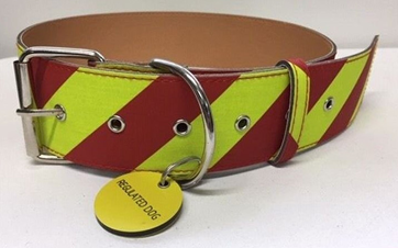 Dangerous dog collar.png