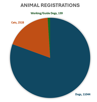 Animal registrations.png