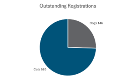 Q4 Outstanding Animal Regsitrations.png