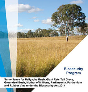 2020 21 Summer biosecurity surveillance program