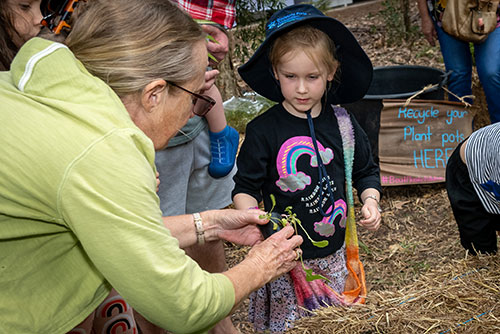 Ecofest 2023 Planting