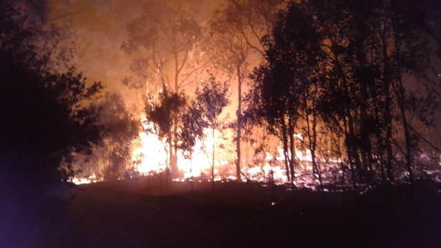 Mt Larcom Bushfires