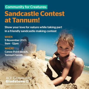 Acf sandcastle contest tannum tile