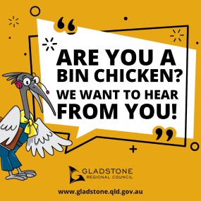Are you a bin chicken we want to hear from you