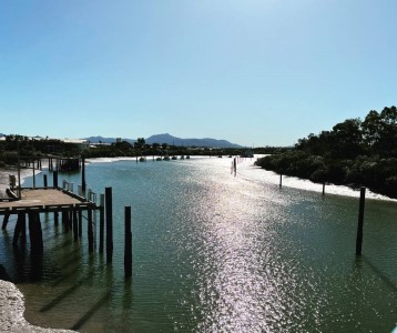 Auckland creek by chris laporta