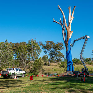 Blue tree lions park painting in progress