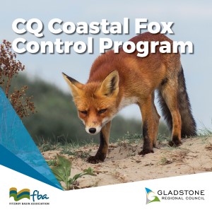 Cq coastal fox