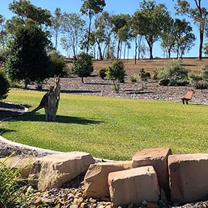 Calliope cemetery open space with seat