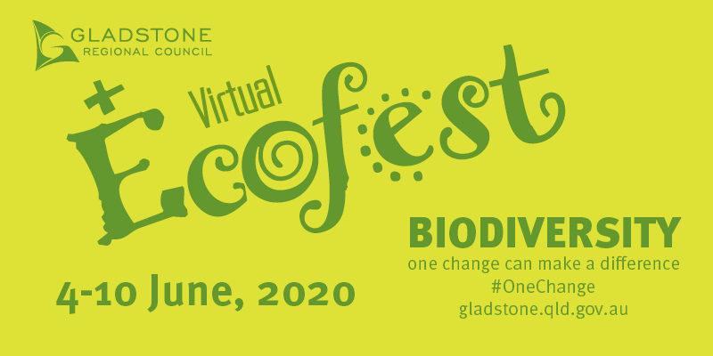 Ecofest 2020landscape