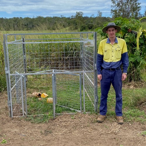 Feral pig cage