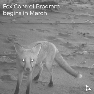 Fox control social info tile