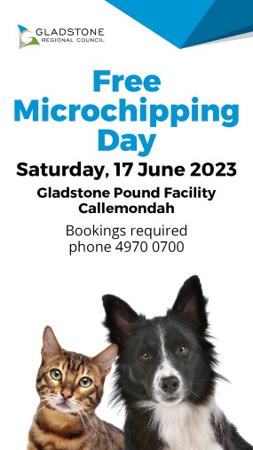 Free microchipping day 2023