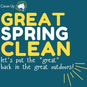 Great spring clean