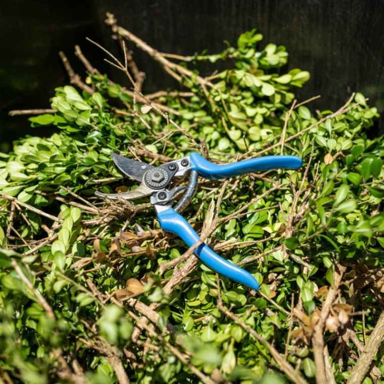 Green organic waste with pruners