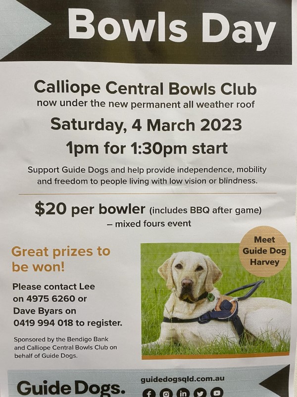 Guide dogs lawn bowls