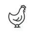 Icons chook