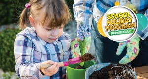 Kids and seeds