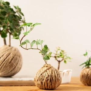 Kokedama hanging garden workshop