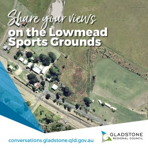 Lowmead sports grounds share your views