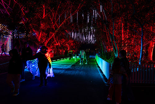 Luminous 2025 09