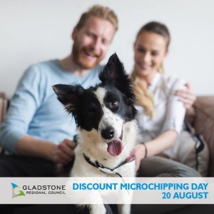 Microchipping day 2020