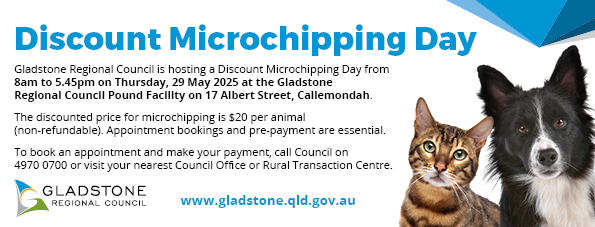 Microchipping newsletter advert