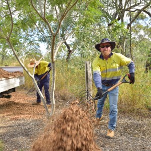 Laying mulch